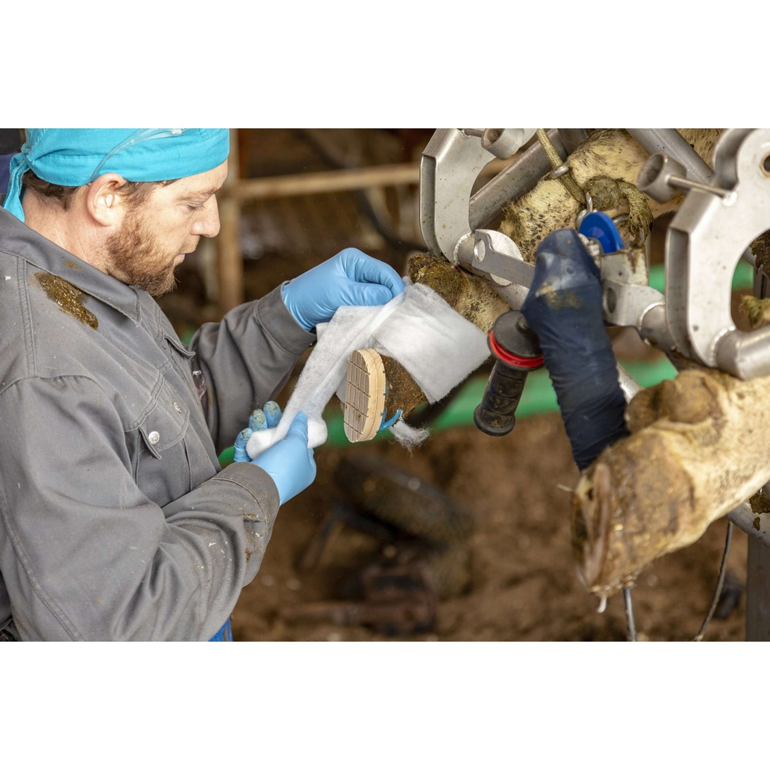 Kerbl Rolled Cotton Wool Rollino Kerbl Rolled Cotton Wool Rollino