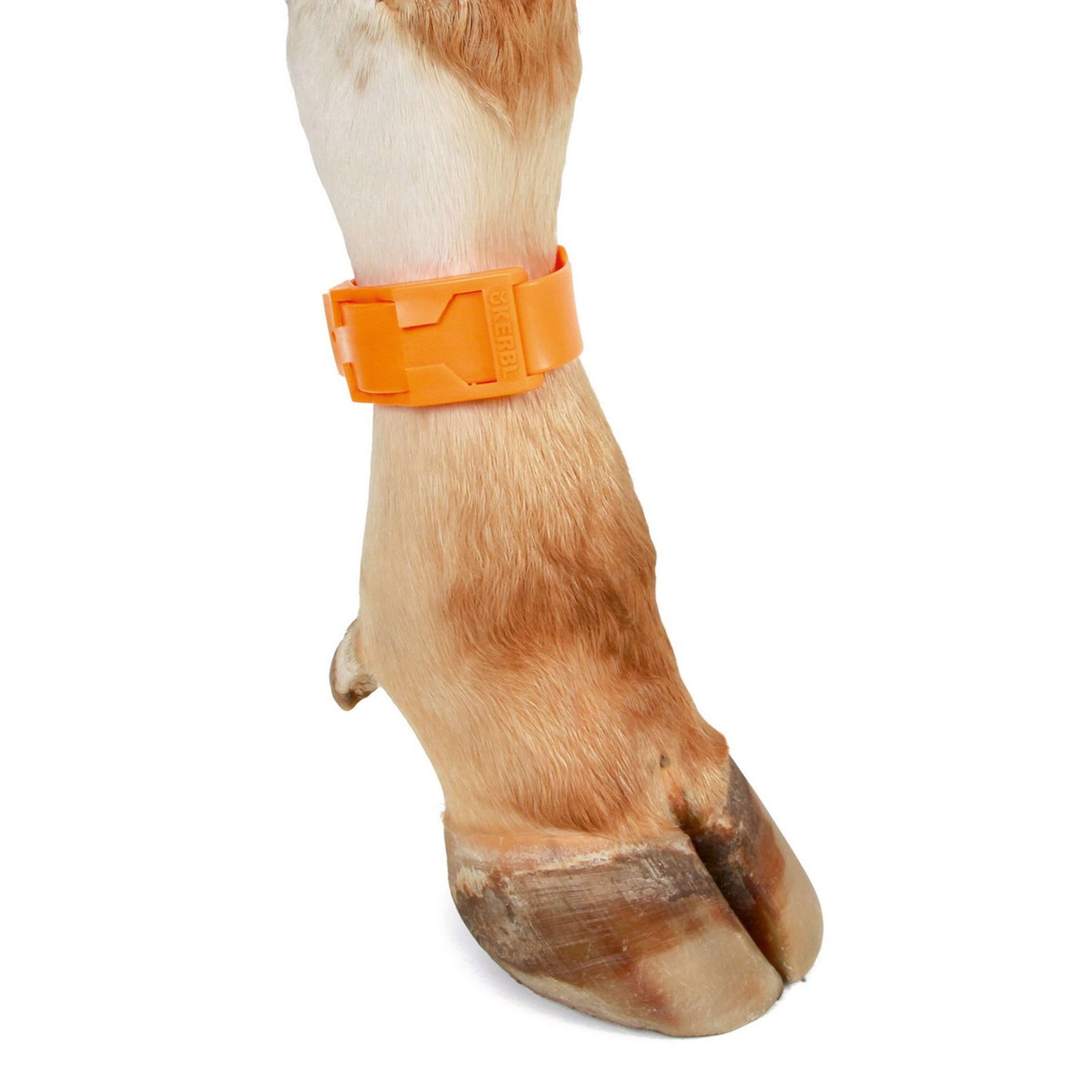 Kerbl Ankle Straps Orange