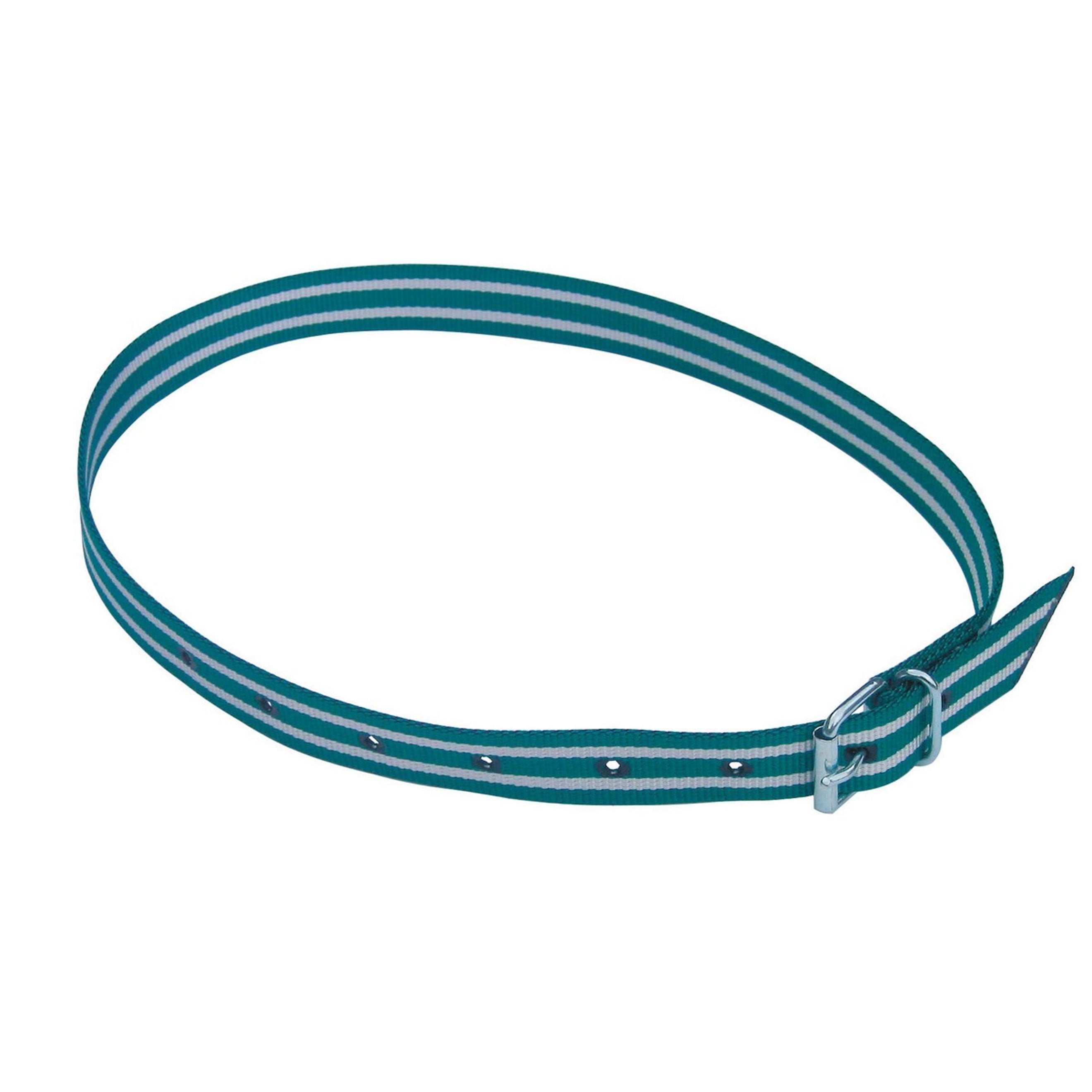 Kerbl Marking Neck Strap Green/White