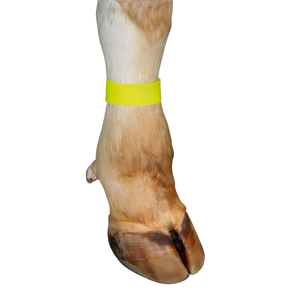 Kerbl Legbands 10 pieces Yellow