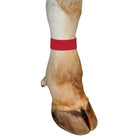 Kerbl Legbands 10 pieces Red