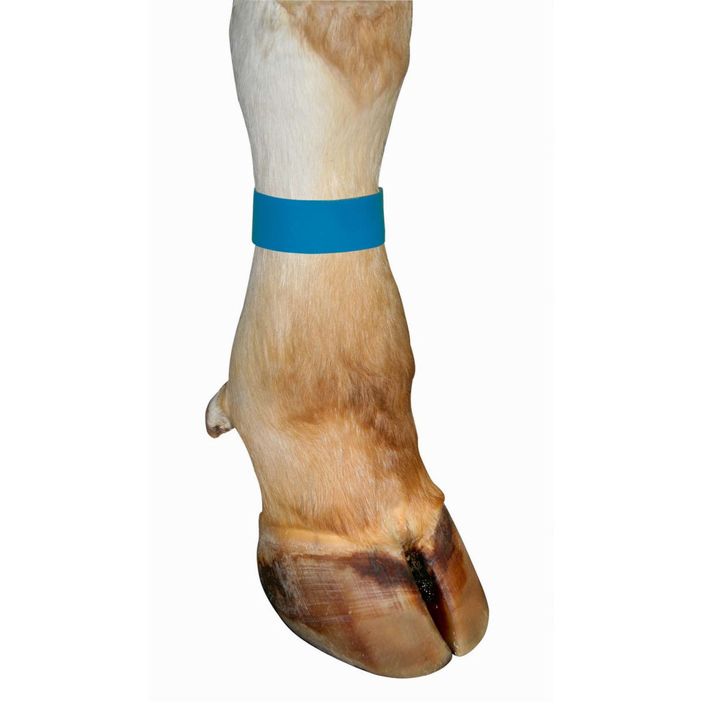 Kerbl Legbands 10 pieces Blue