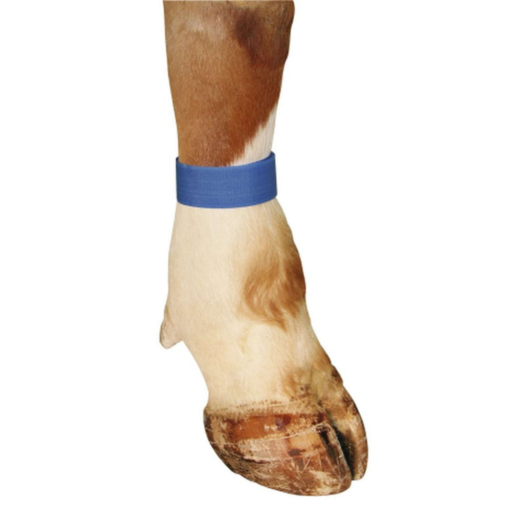 Kerbl Legbands 10 pieces Blue