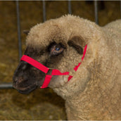 Kerbl Sheep and Ram Halter Red