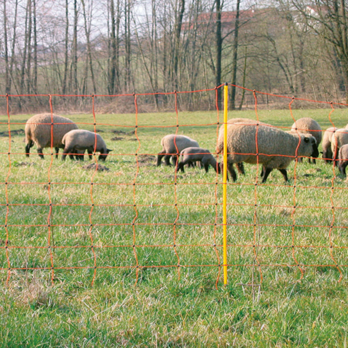 Agradi Power Sheep Net Double Prong Posts