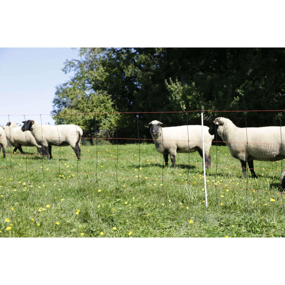 Kerbl Sheep net Titan Light Double Pen