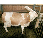 Kerbl Cattle Brush Texas