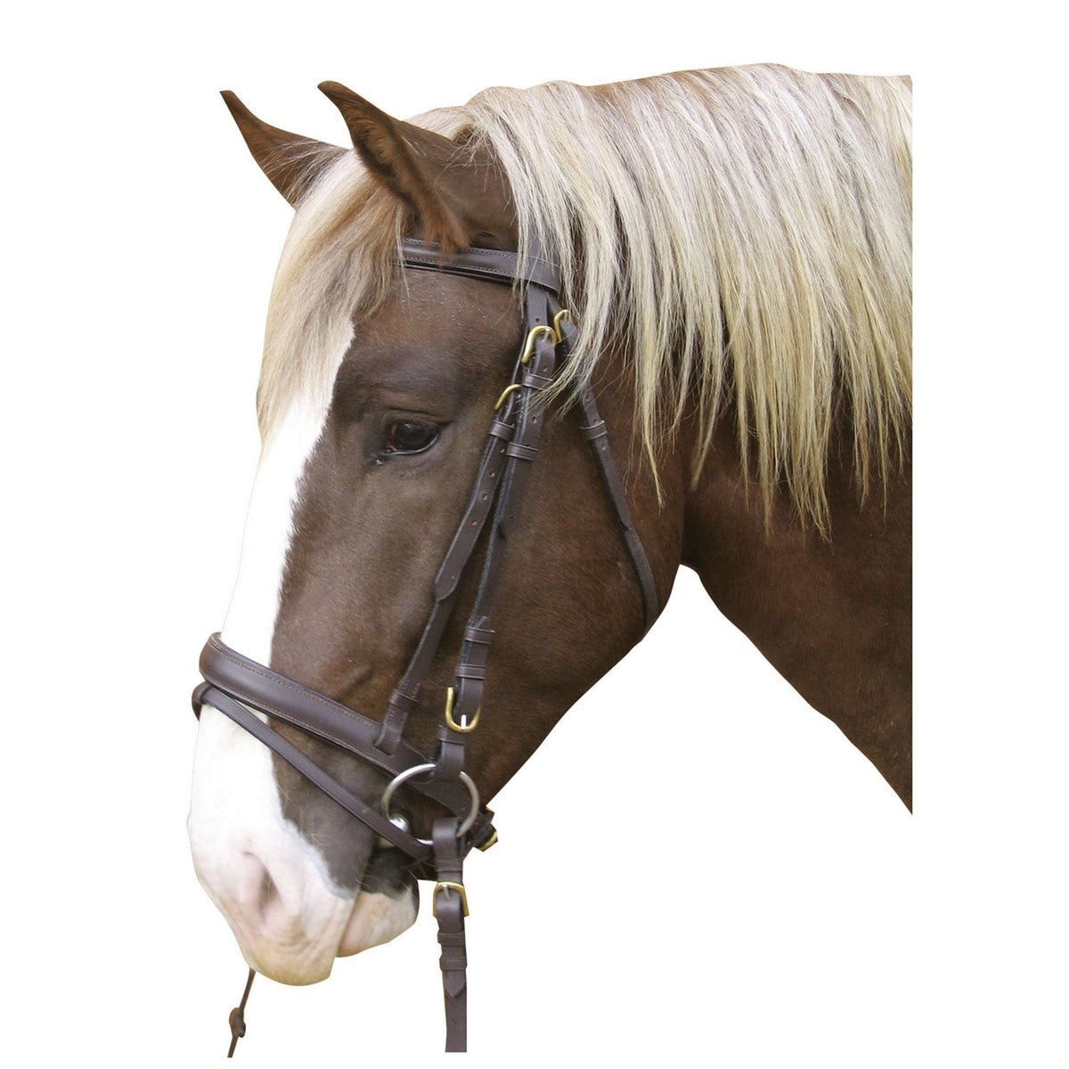 Kerbl Bridle Cold Blood Brown