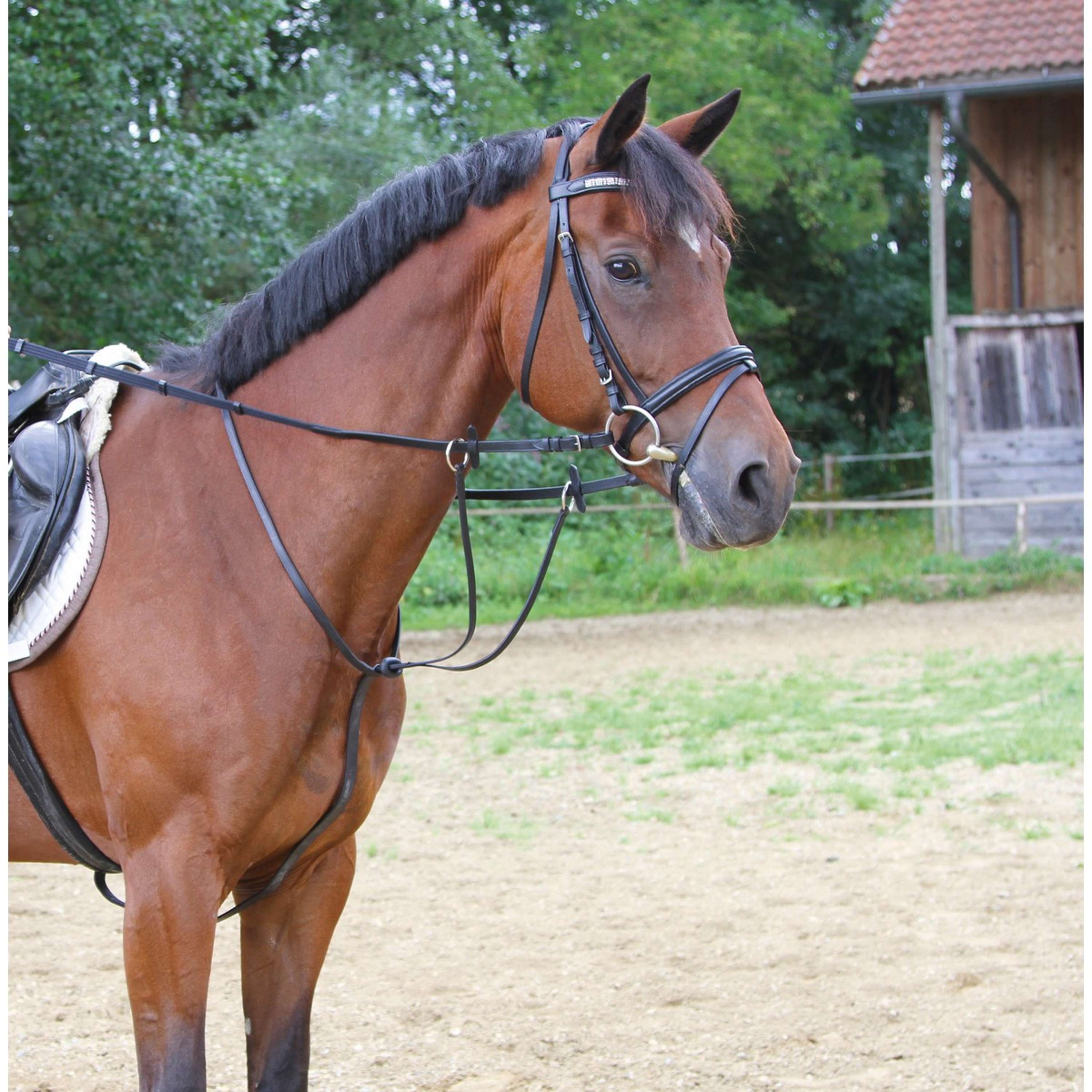 Kerbl Martingale Black
