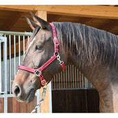 Kerbl Head-Collar Mustang Red