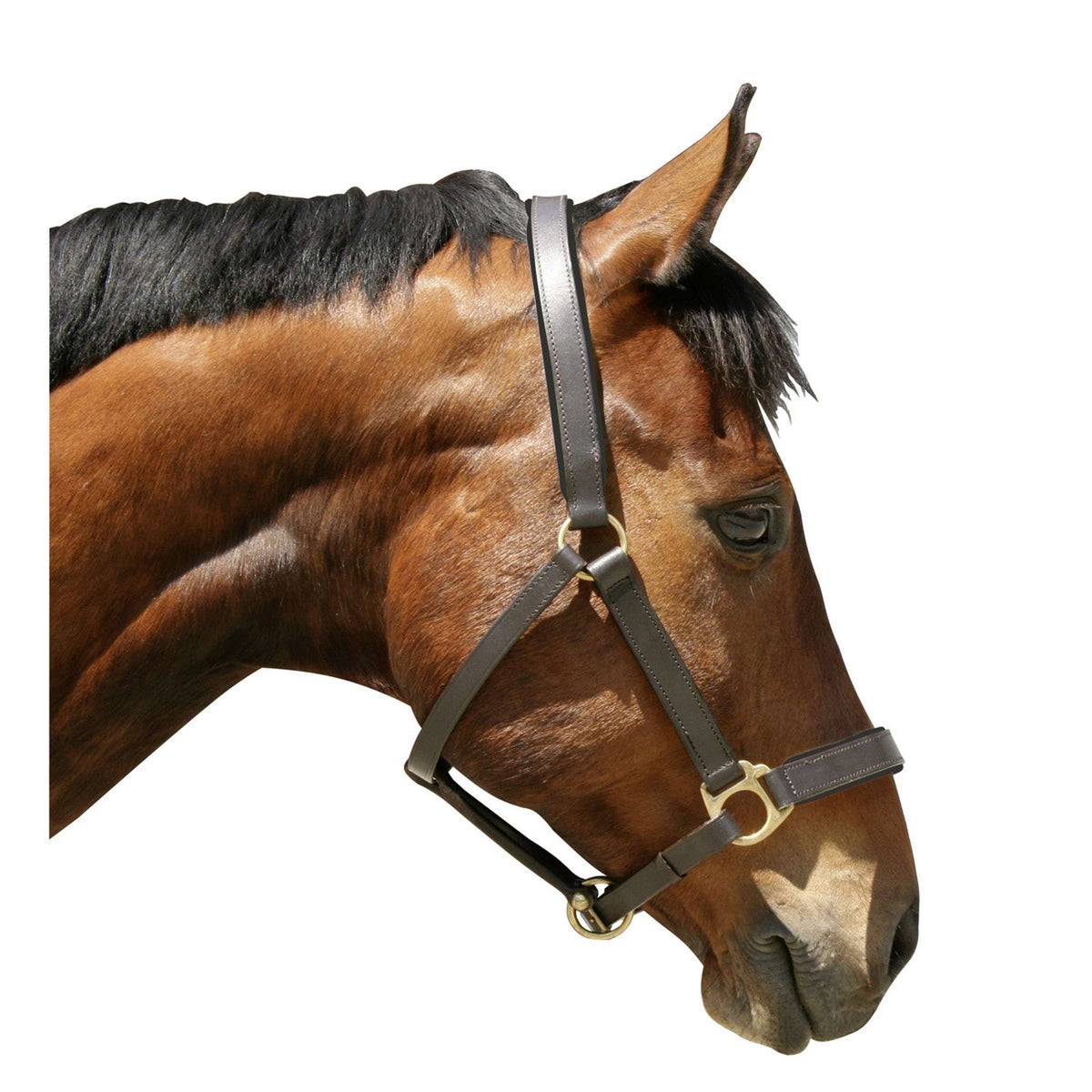 Covalliero Head-Collar Eco Brown