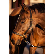 Covalliero Head-Collar Eco Brown