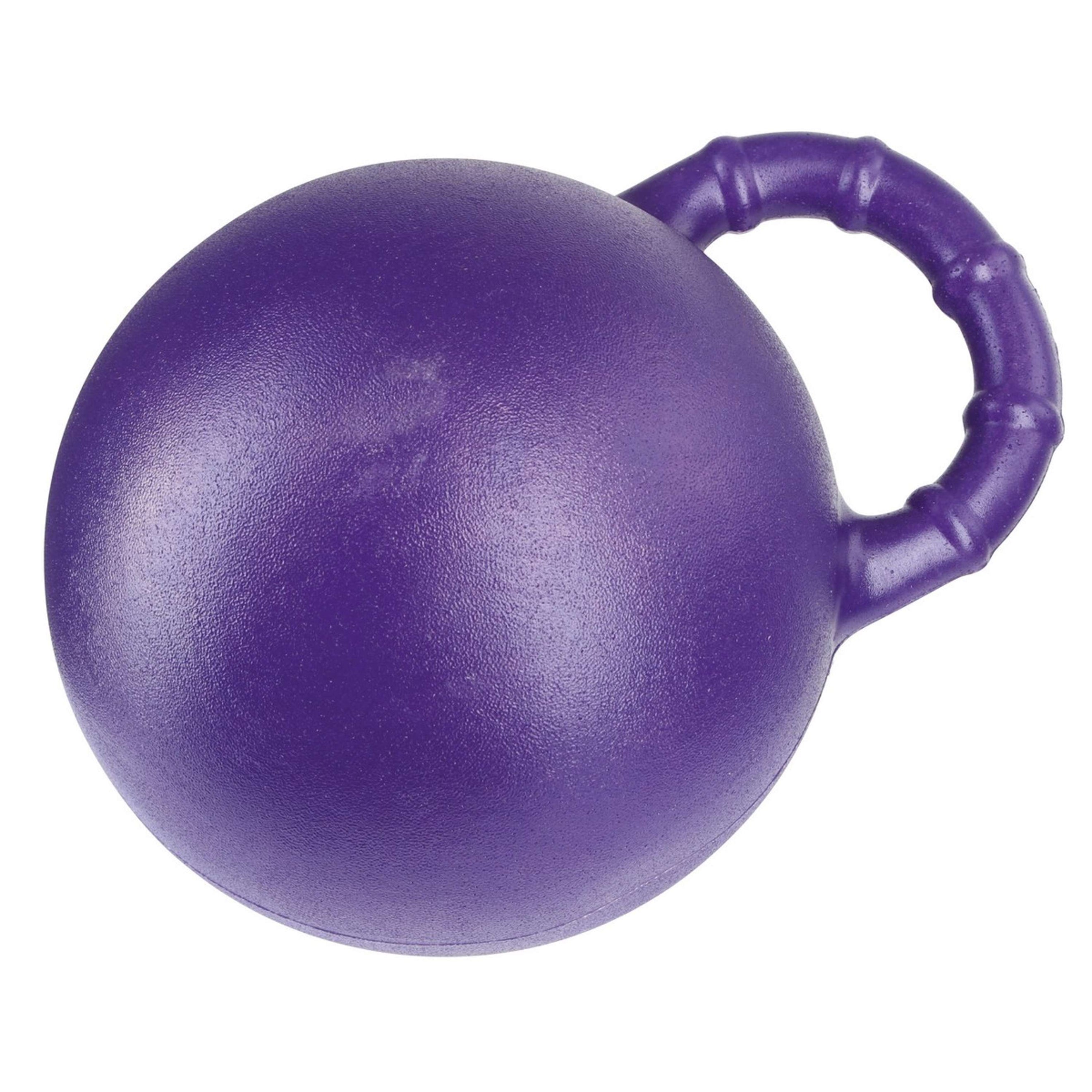 Agradi Horse Play Ball Mint Purple Purple