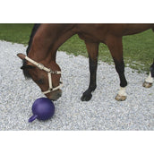 Agradi Horse Play Ball Mint Purple Purple