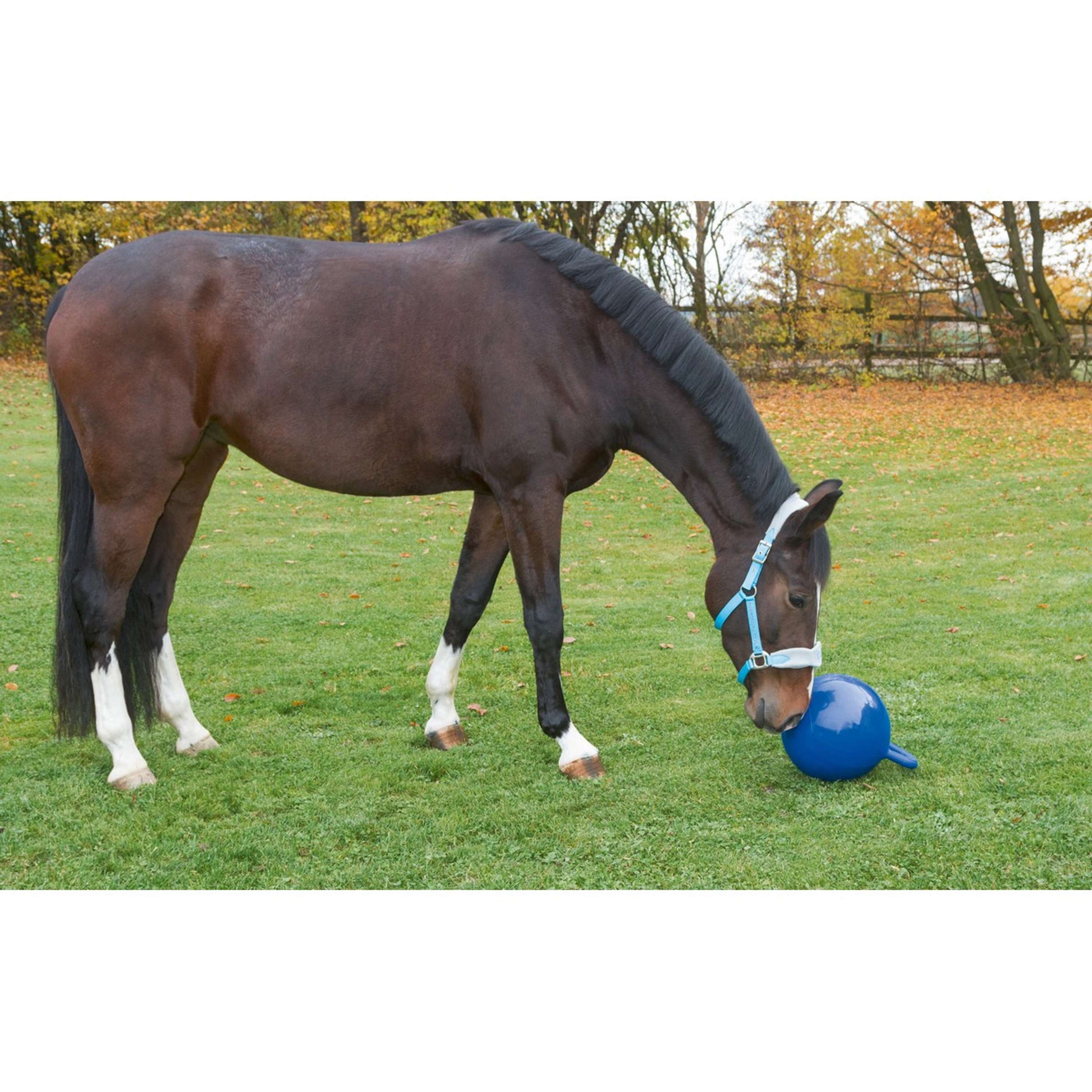 Kerbl Ball for Horses Blue