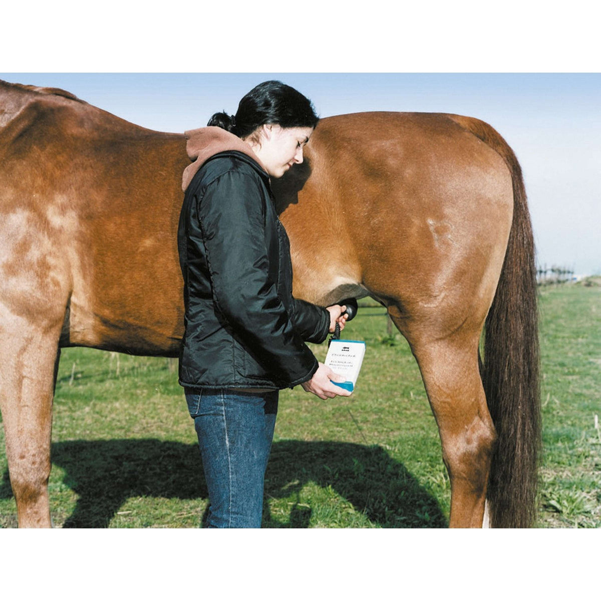 Kerbl Rheintechnik HK Pregnancy Tester for Horses