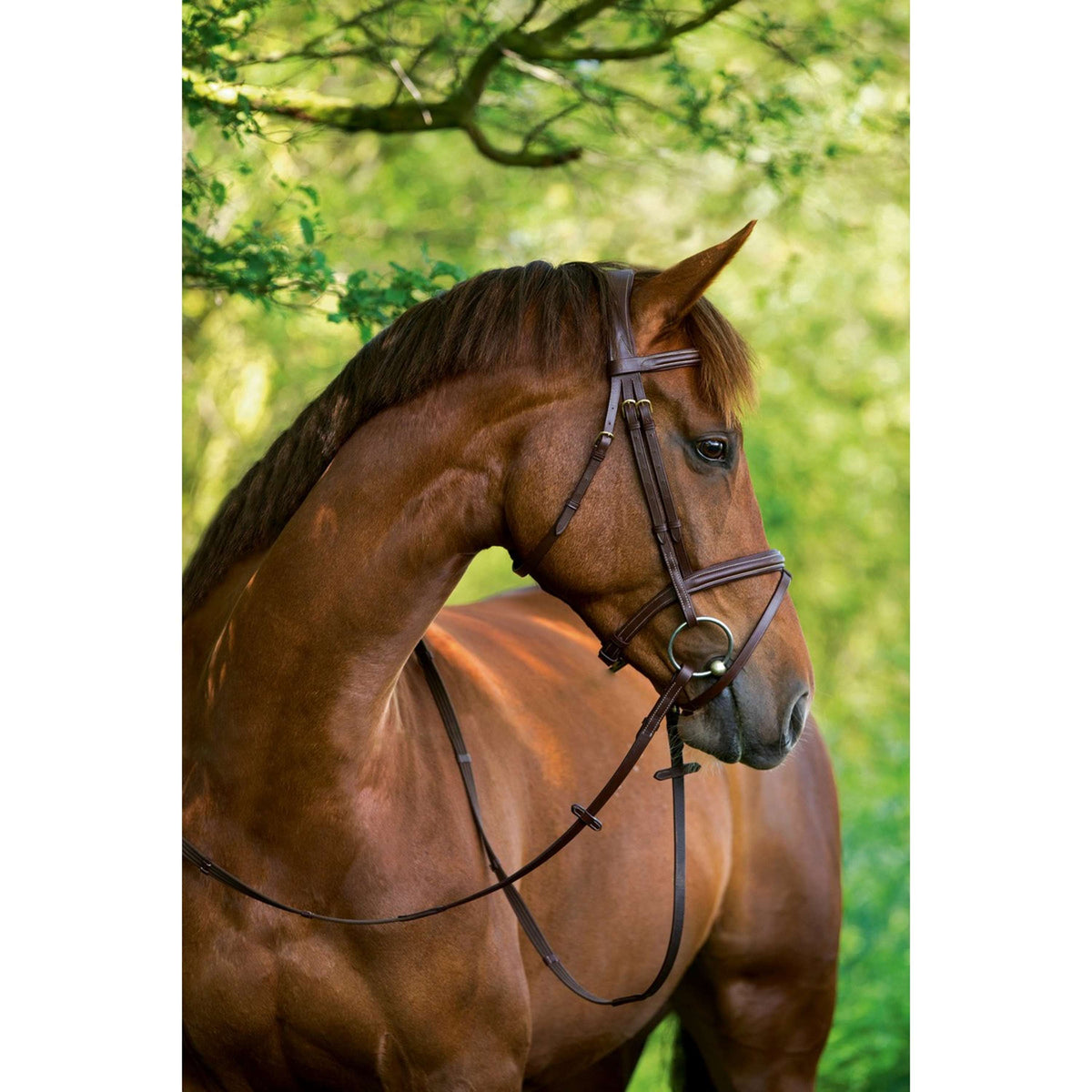 Kerbl Classic Leather Bridle Classic Brown