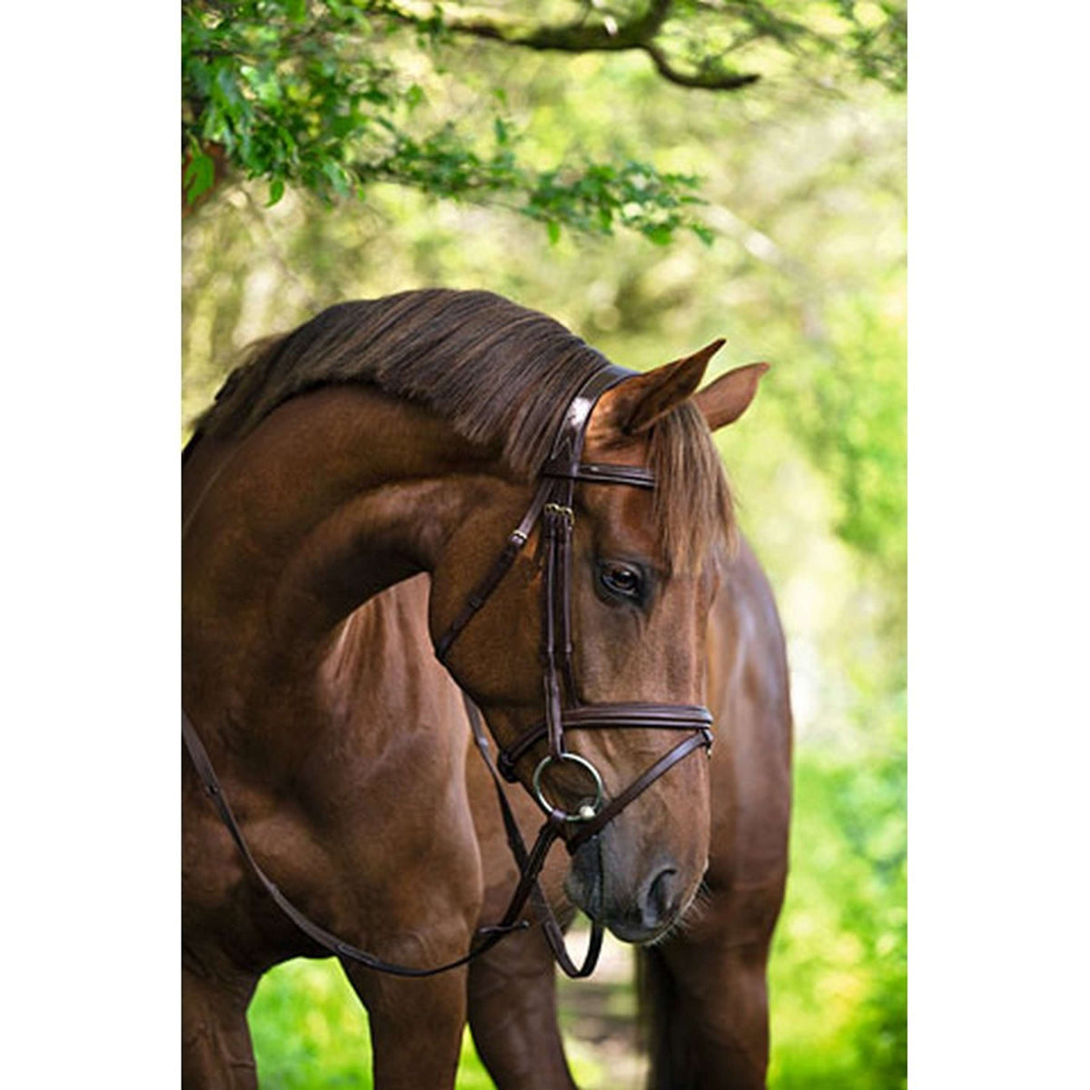 Kerbl Classic Leather Bridle Classic Brown