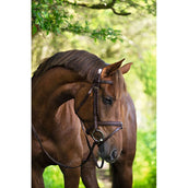 Kerbl Classic Leather Bridle Classic Brown