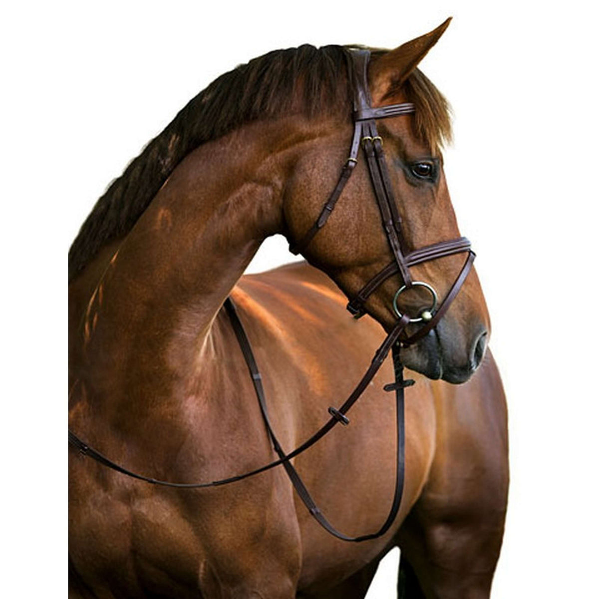 Kerbl Classic Leather Bridle Classic Brown