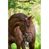 Kerbl Classic Leather Bridle Classic Brown