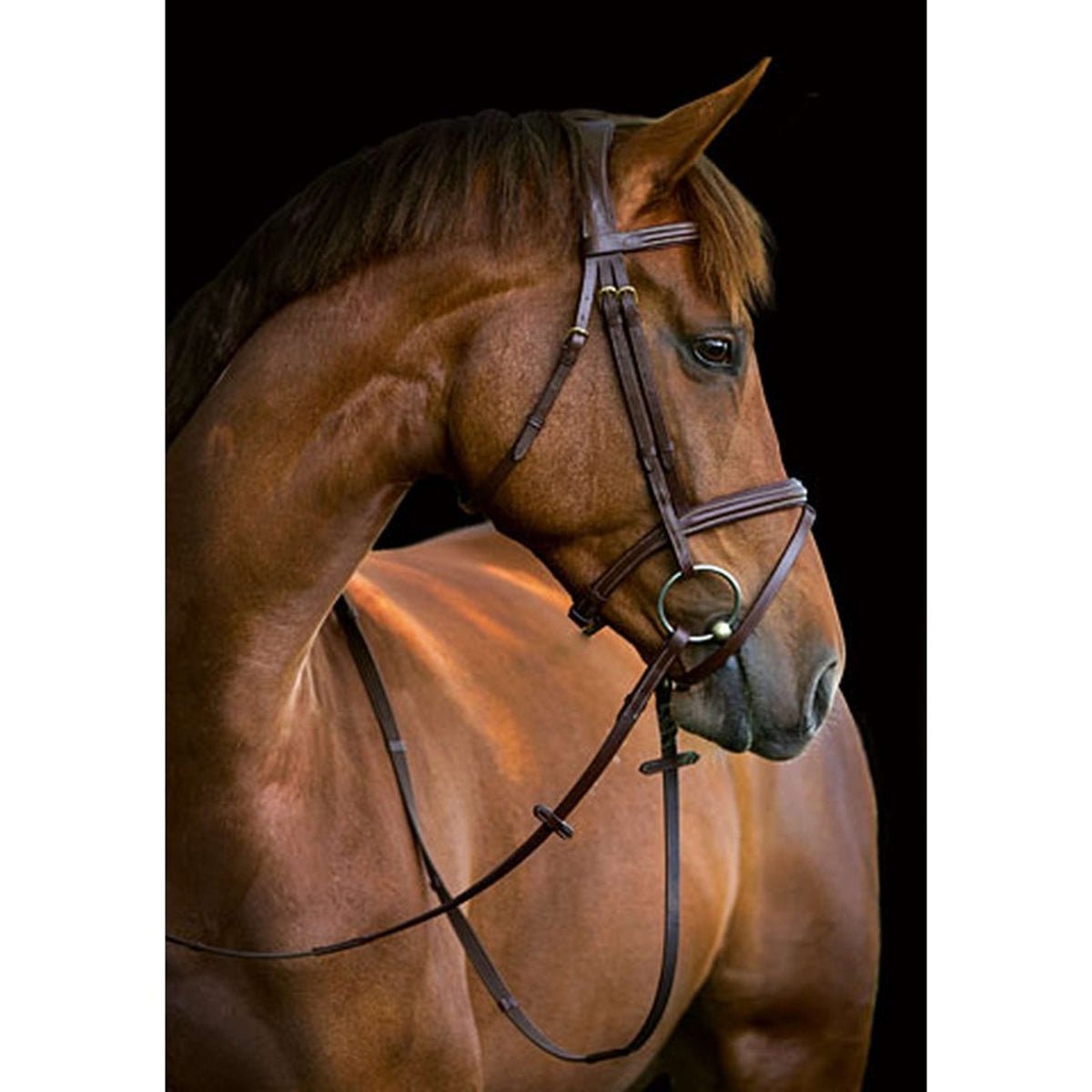 Kerbl Classic Leather Bridle Classic Brown