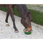 Kerbl Delizia Horse Lick Tub Bronchial