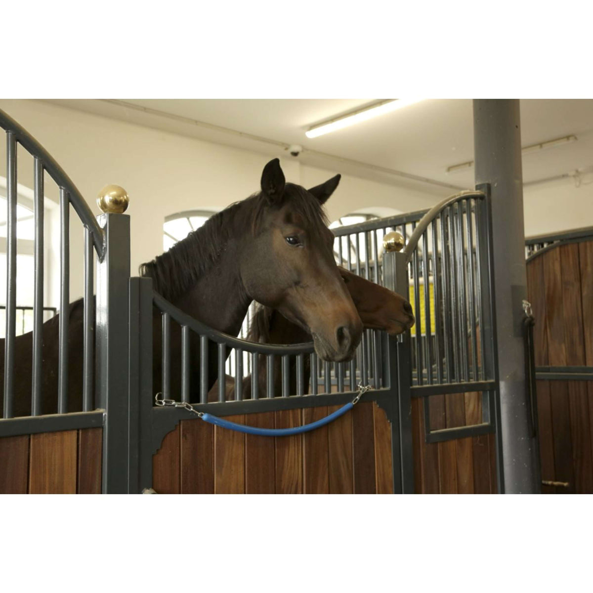 Kerbl Rug Holder with a Chain