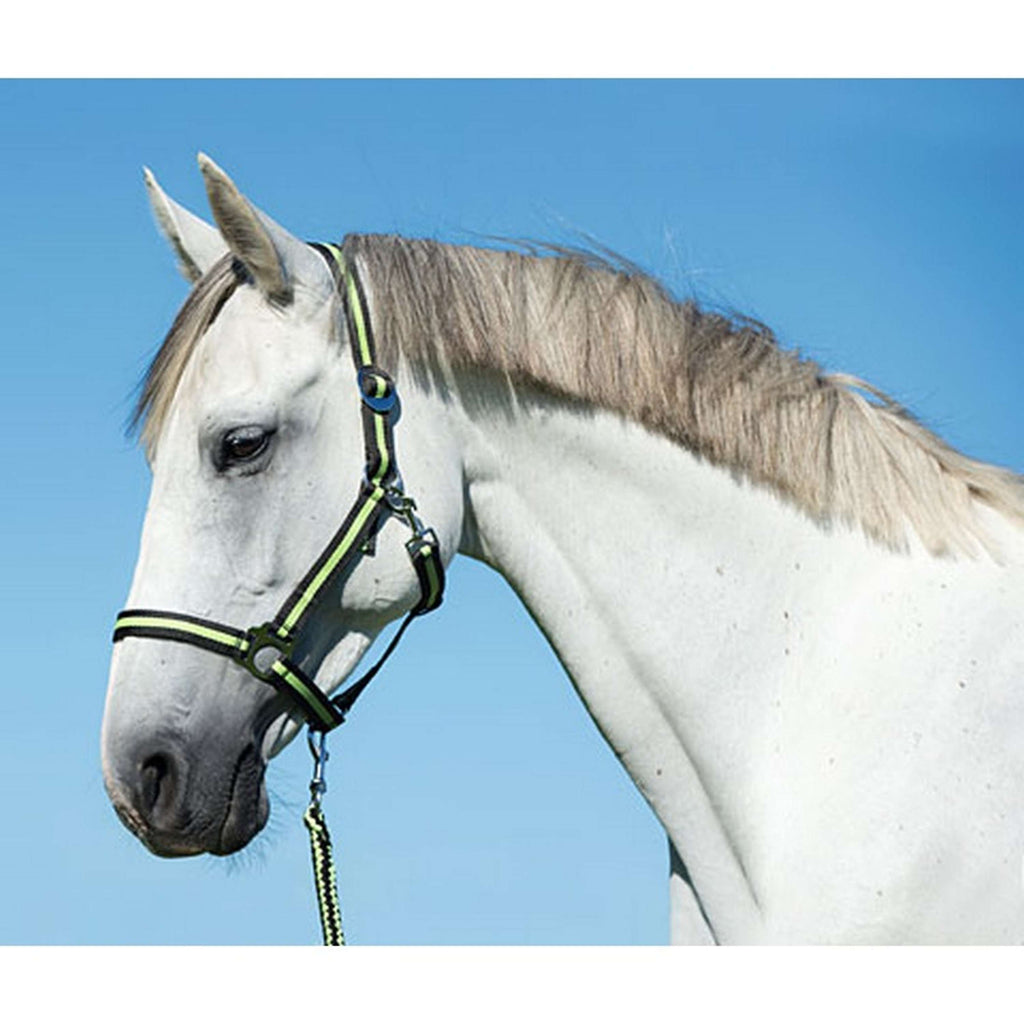 Covalliero Lead Rope Hippo with Carabiner Antacite/Lemon