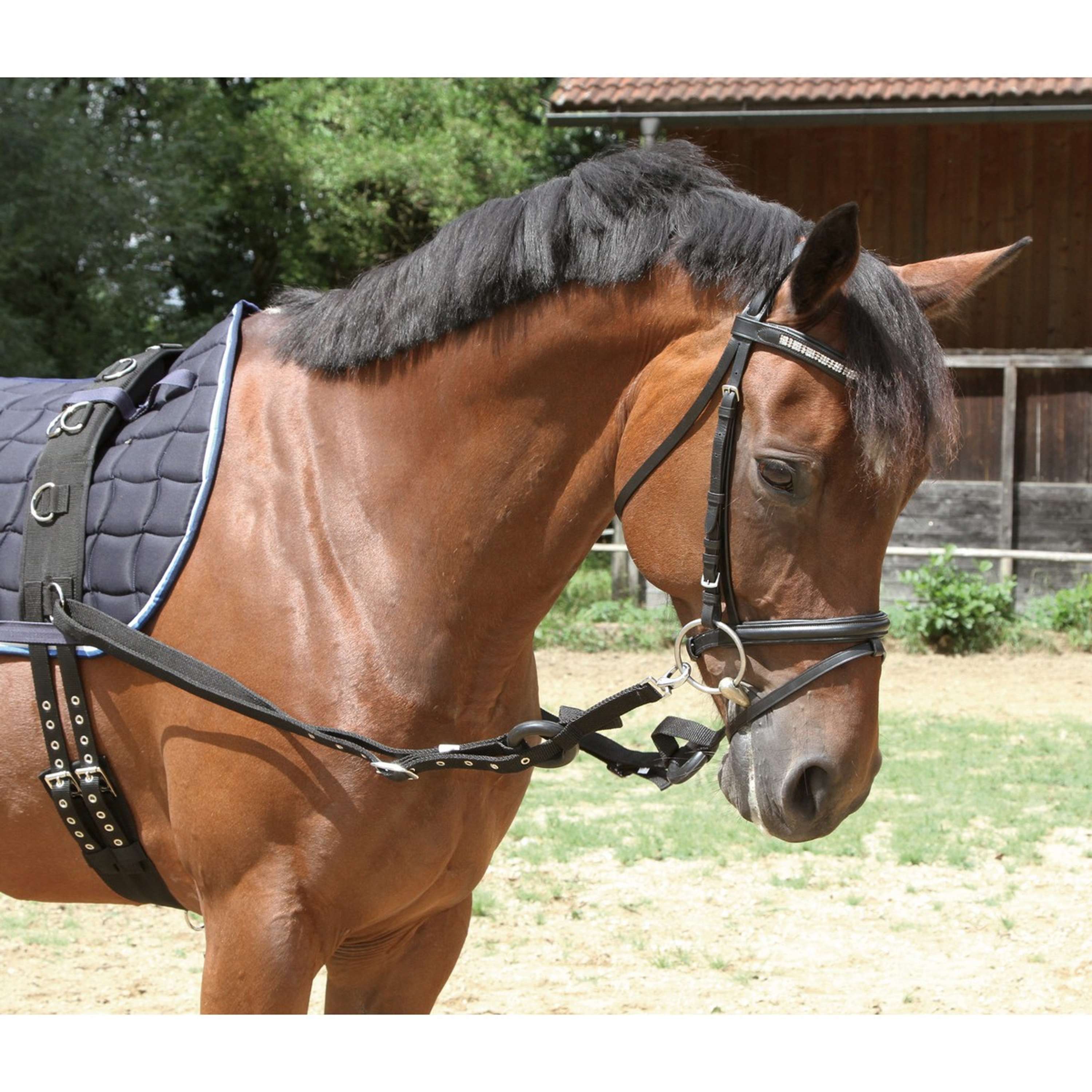 Side Riens Kerbl Side Reins Black | Agradi.com