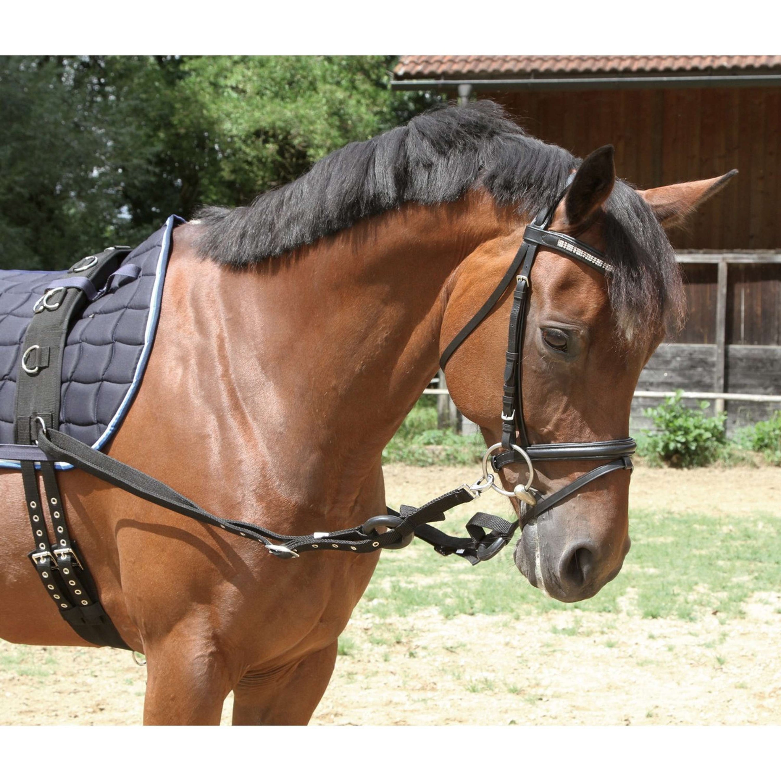 Kerbl Side Reins Black
