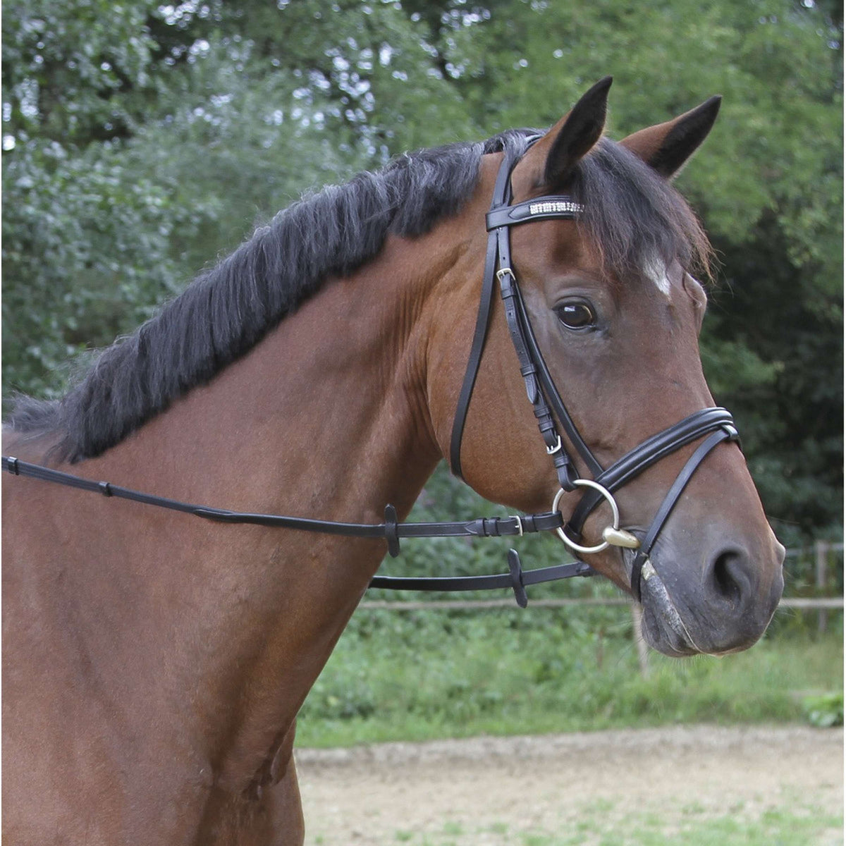 Kerbl English Leather Dressage Reins