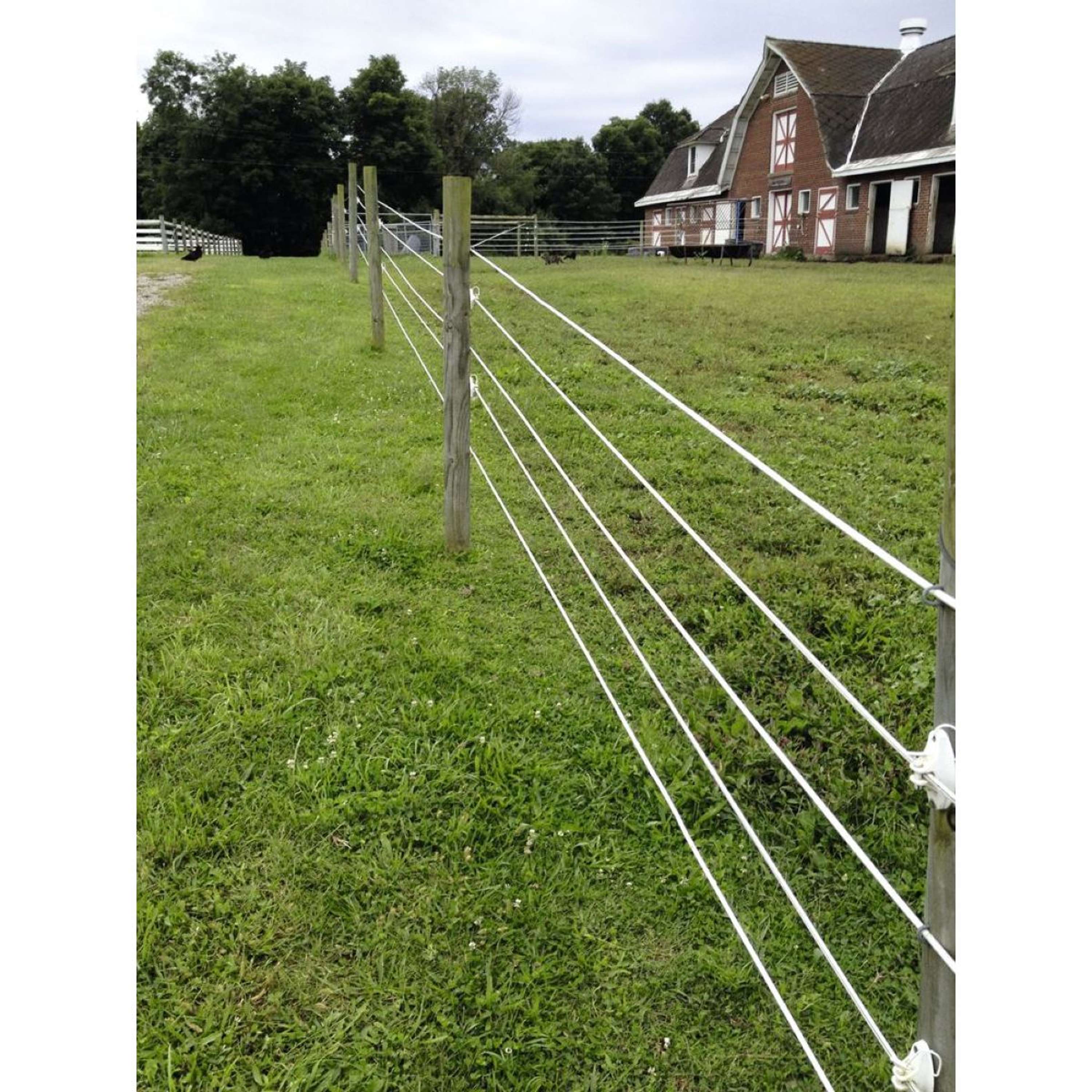 Top Line Wire Ako TopLine Horse Wire | Agradi.com