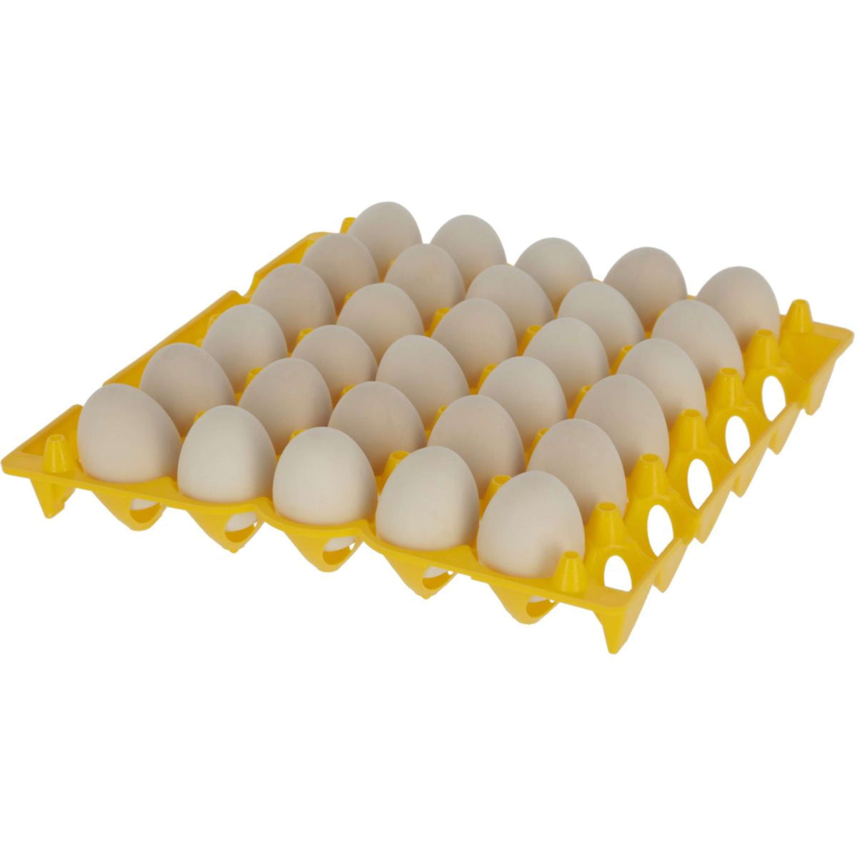 Kerbl Egg Holder Plastic