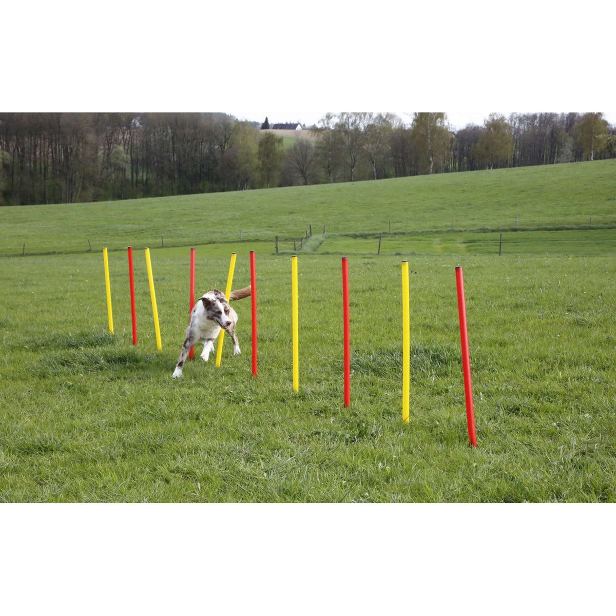 Kerbl Agility Set Complete 3-piece Red/Yellow