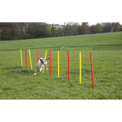 Kerbl Agility Set Complete 3-piece Red/Yellow