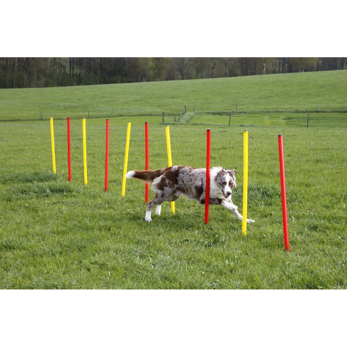 Kerbl Agility Set Complete 3-piece Red/Yellow