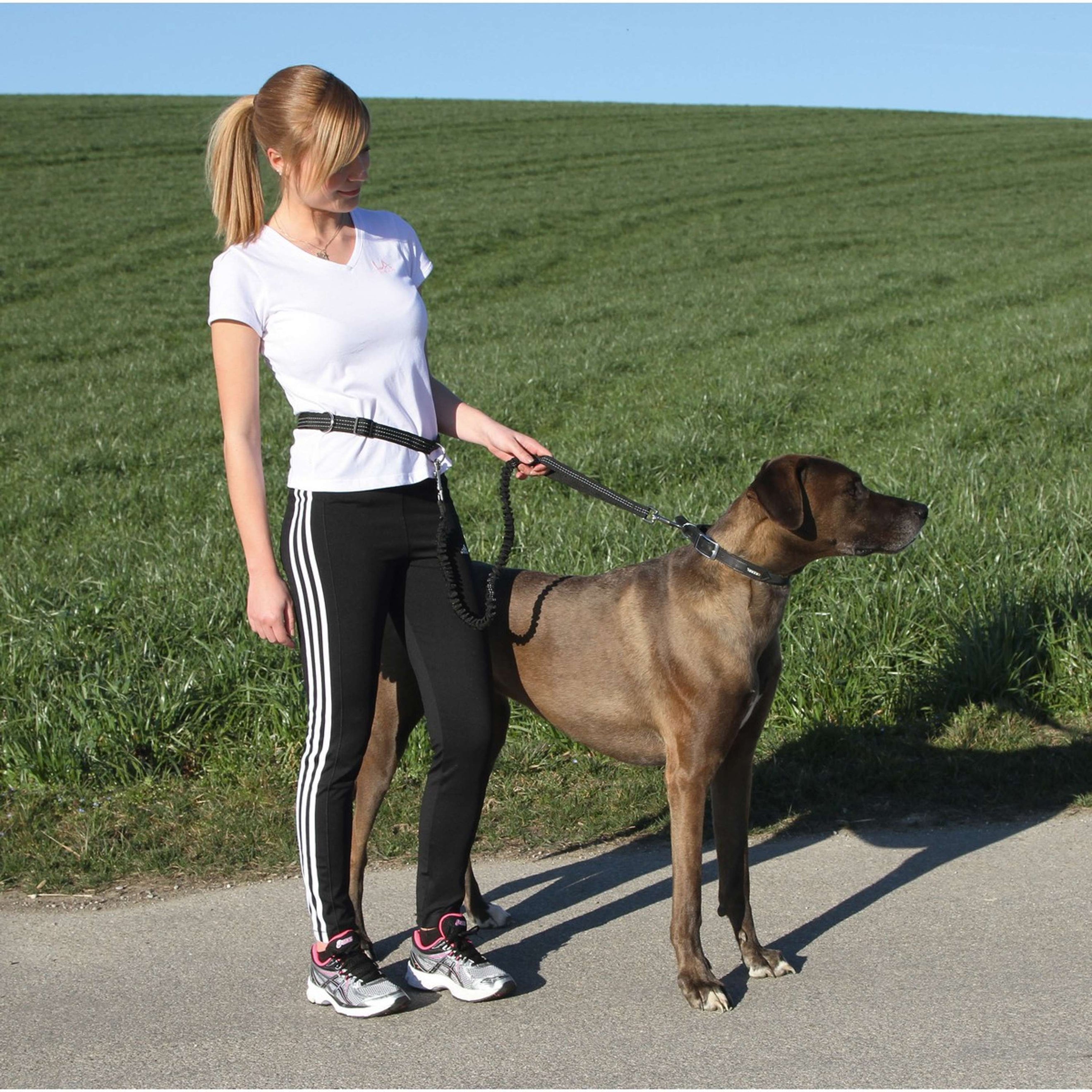 Kerbl Running Leash Active with Waist Belt