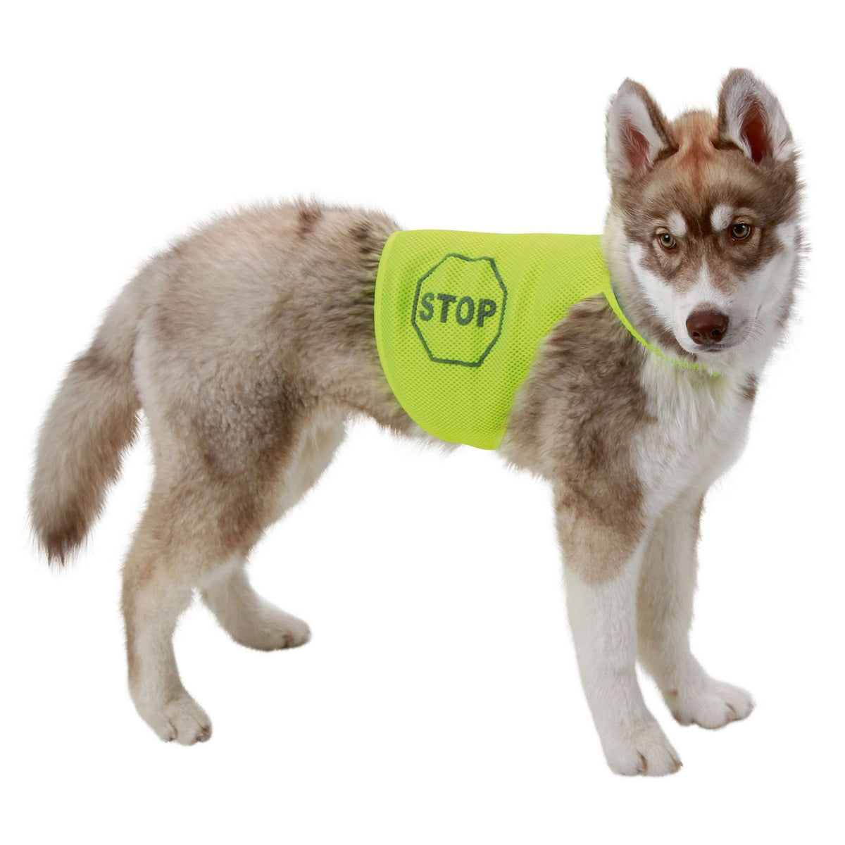 Kerbl SafetyVest