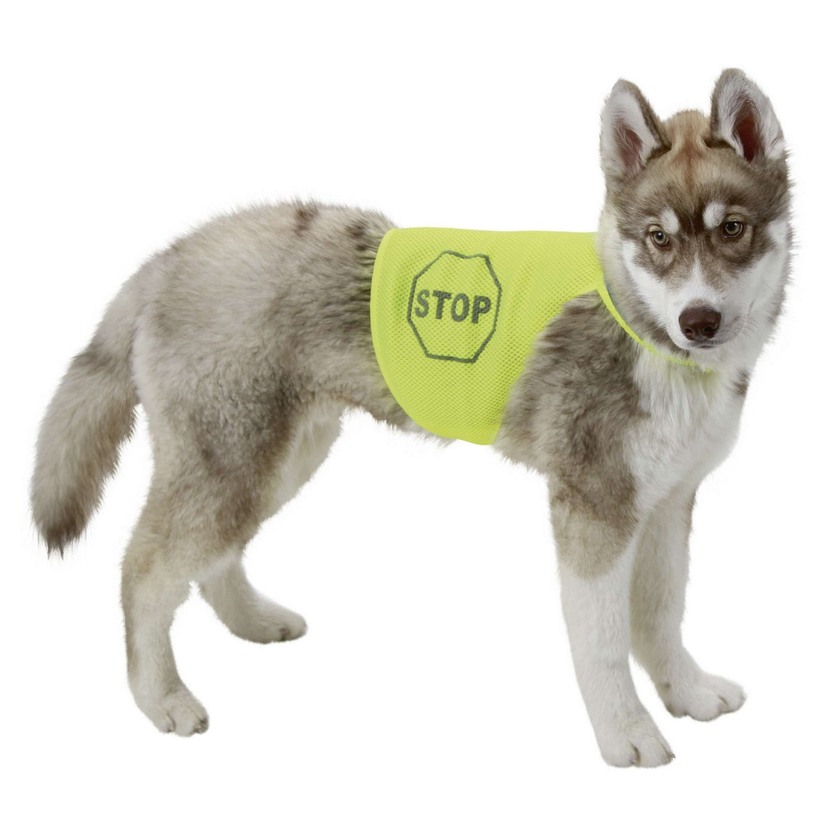 Kerbl SafetyVest