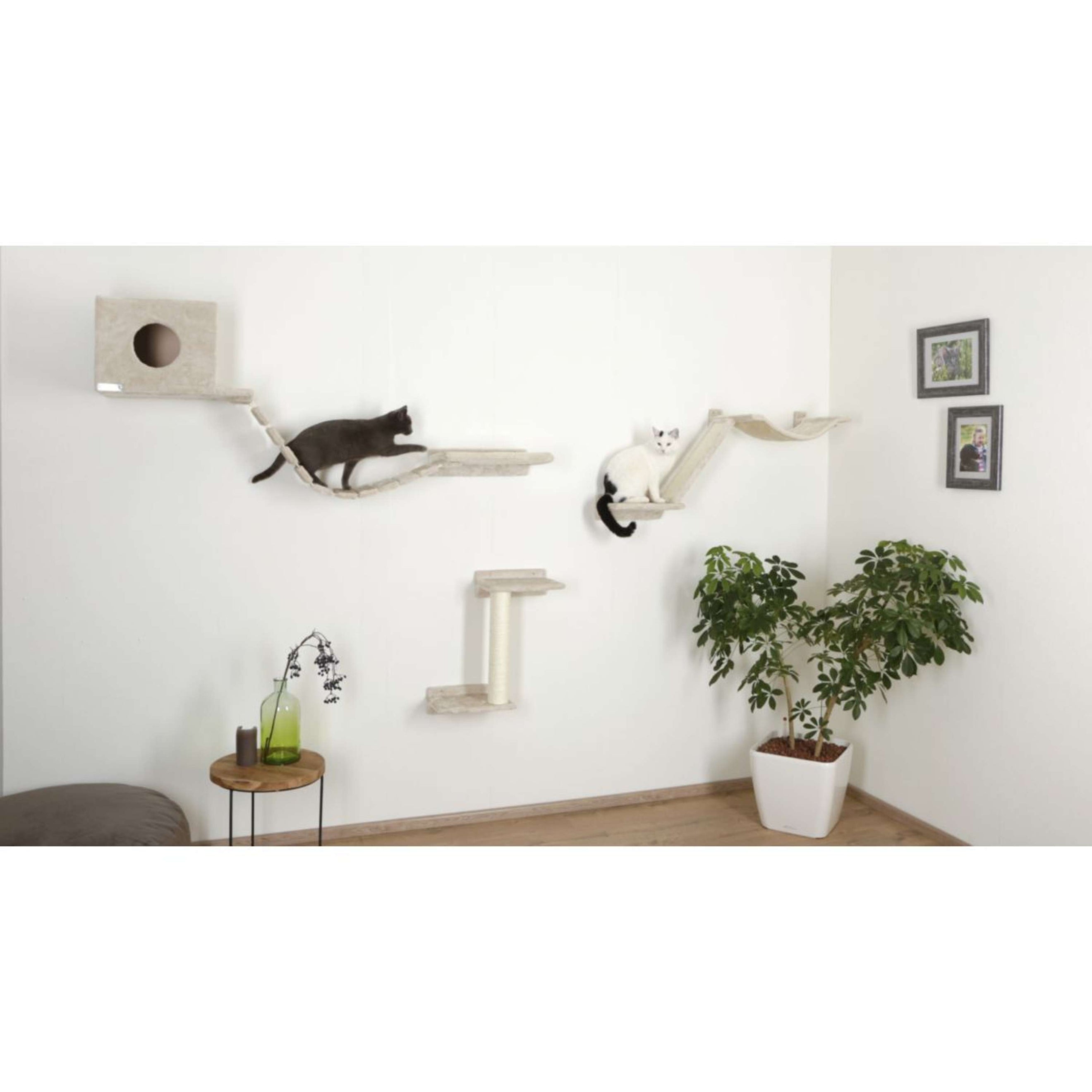 Kerbl Climbing Wall Mount Everest for Cats Beige