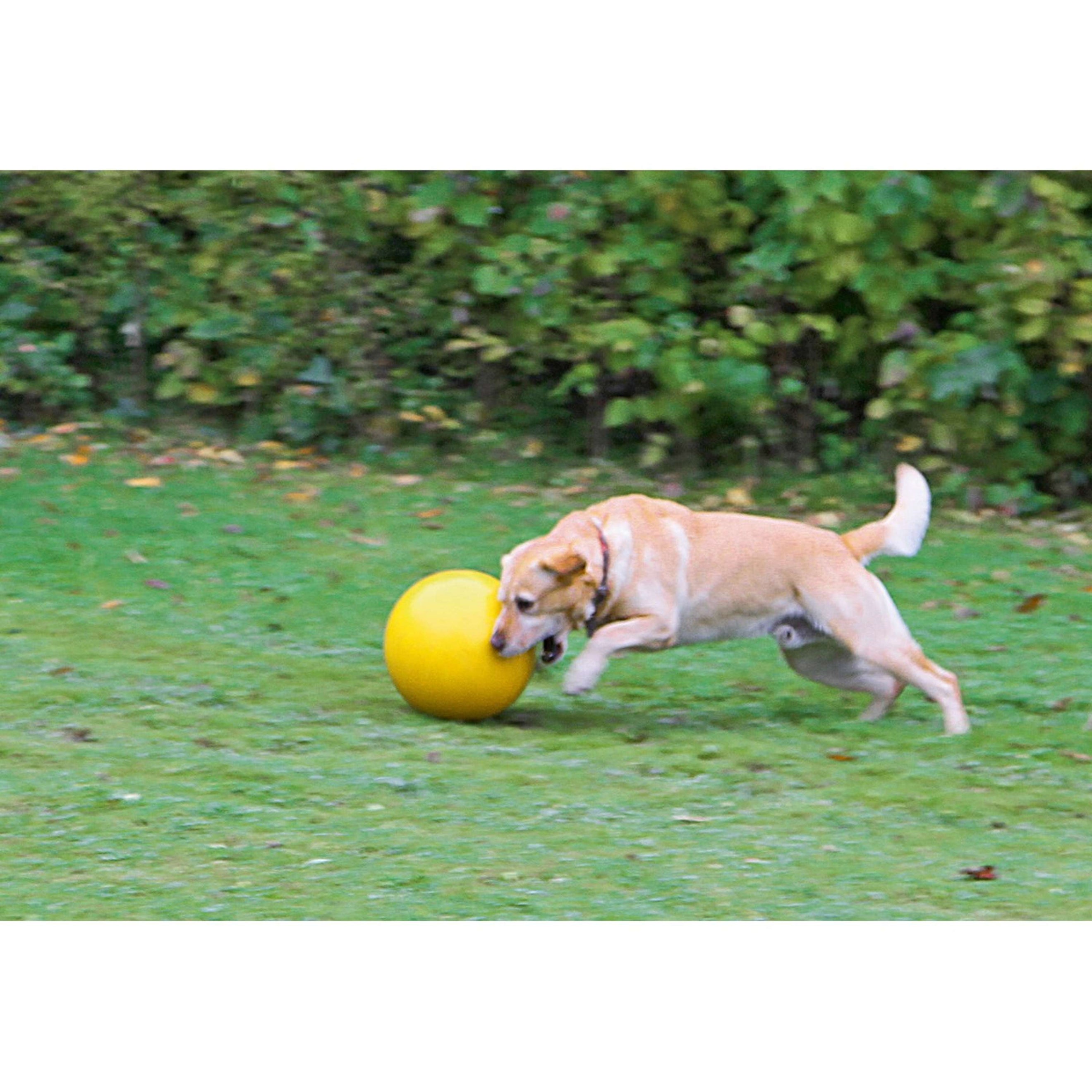 Kerbl Dog Playing Ball Yellow