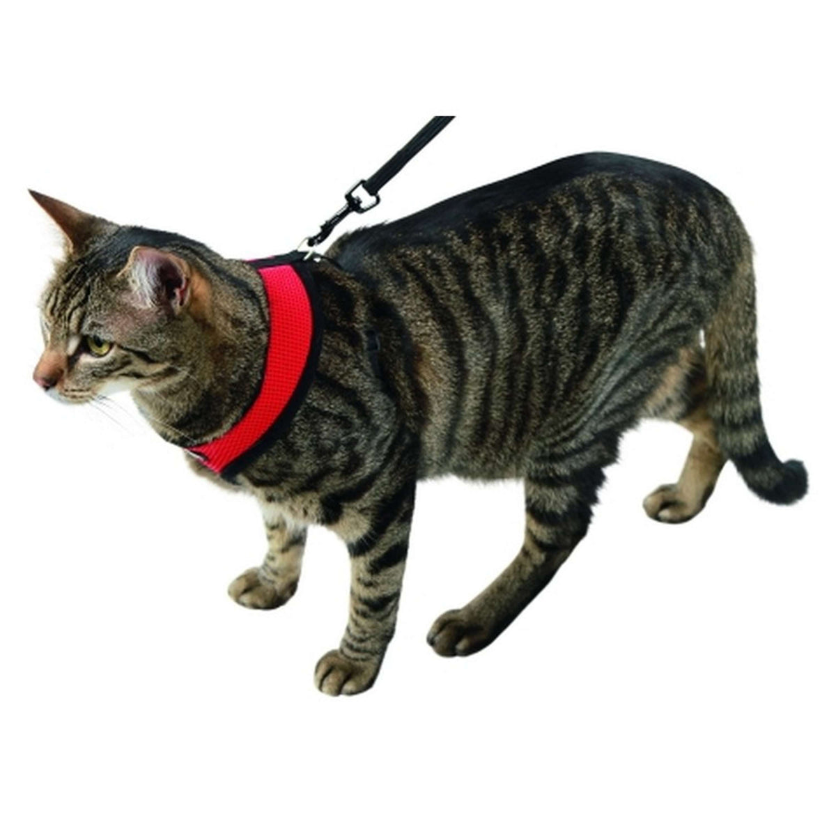 Kerbl Cat Harness Activ Red