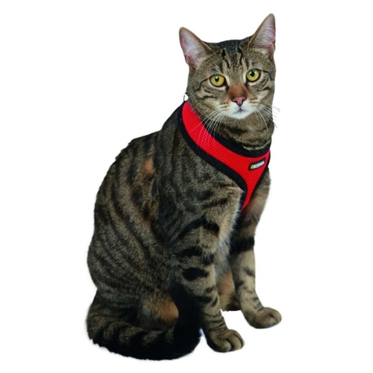 Kerbl Cat Harness Activ Red