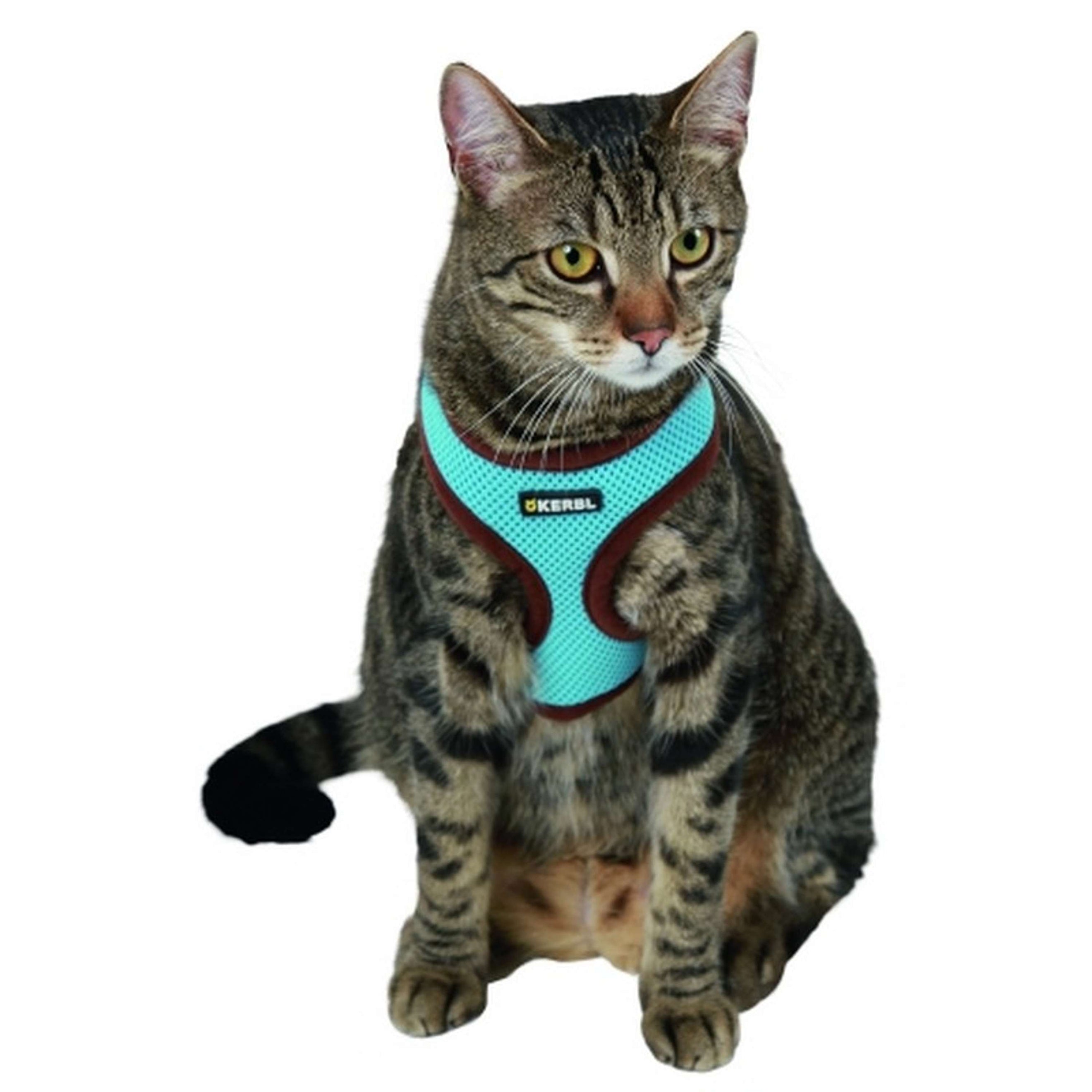 Kerbl Cat Harness Activ Blue