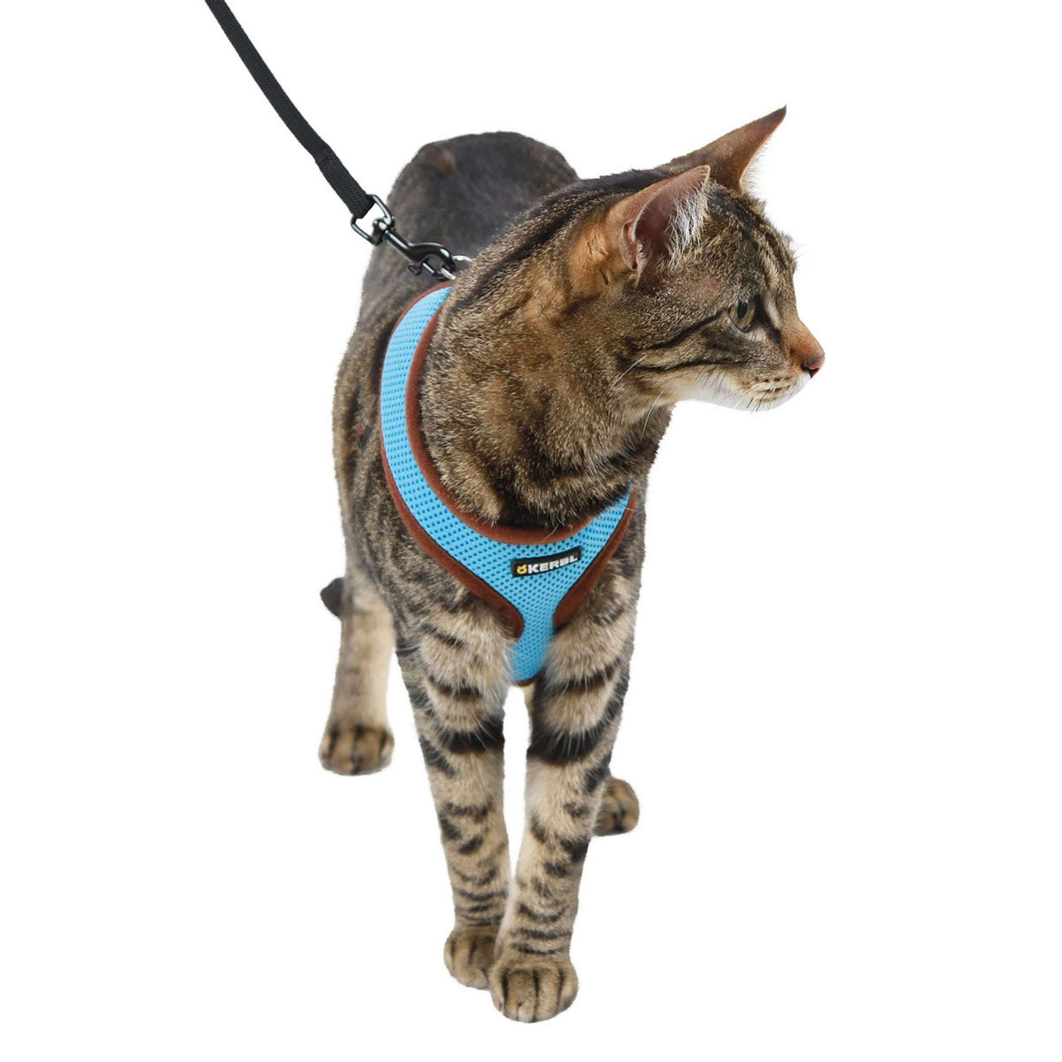 Kerbl Cat Harness Activ Blue - Main Image