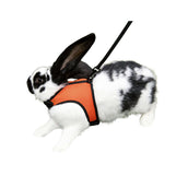 Kerbl Rodent Harness Sport