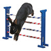 Kerbl Agility Combo Jump 53cm height