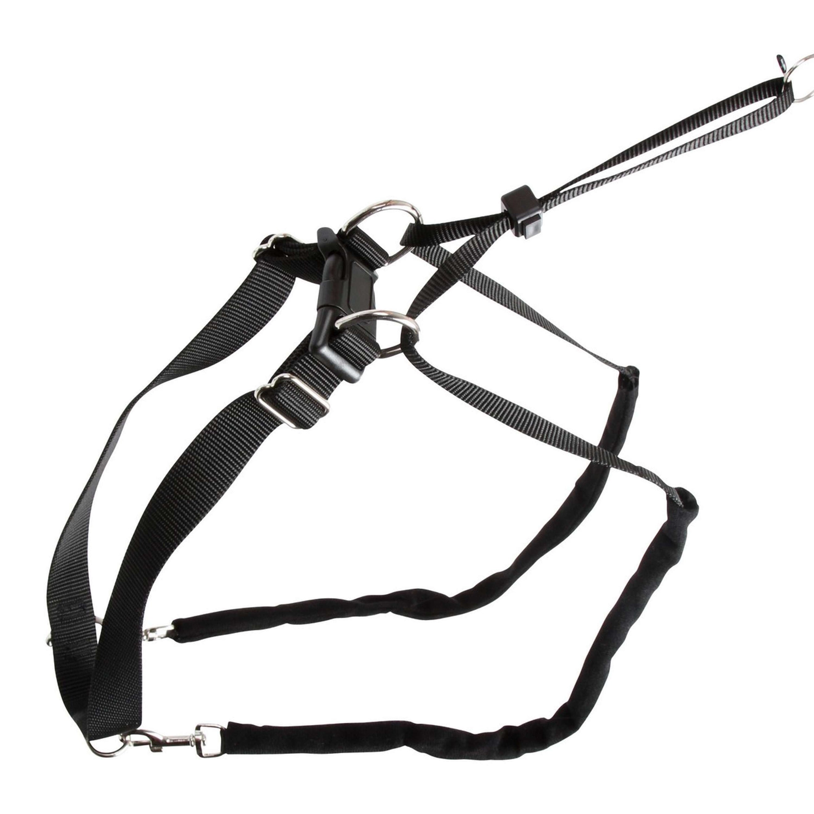 Kerbl Harness Maxi Leader Black