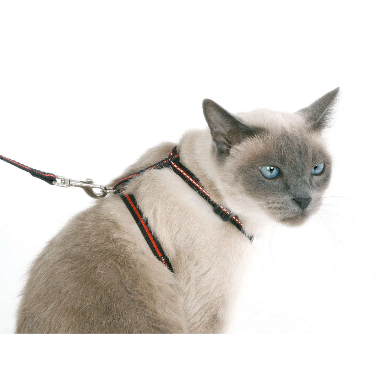 Kerbl Cat Harness